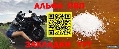 прущие грибы Кандалакша