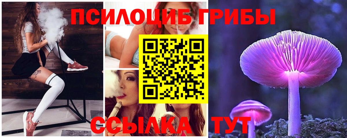Псилоцибиновые грибы Psilocybe Кунгур